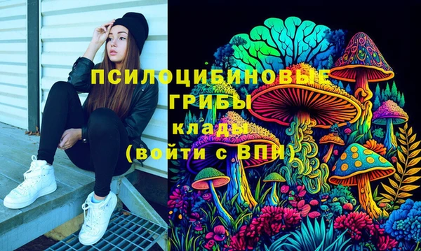 mix Белокуриха