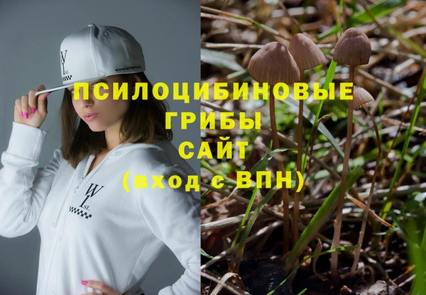 mix Белокуриха
