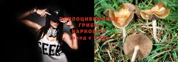mix Белокуриха