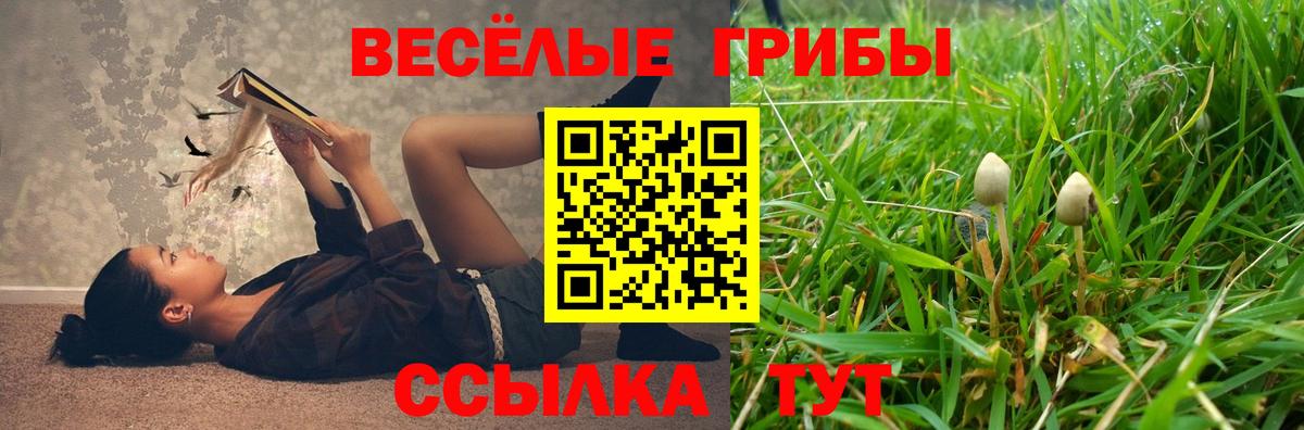 Псилоцибиновые грибы Psilocybe Бутурлиновка