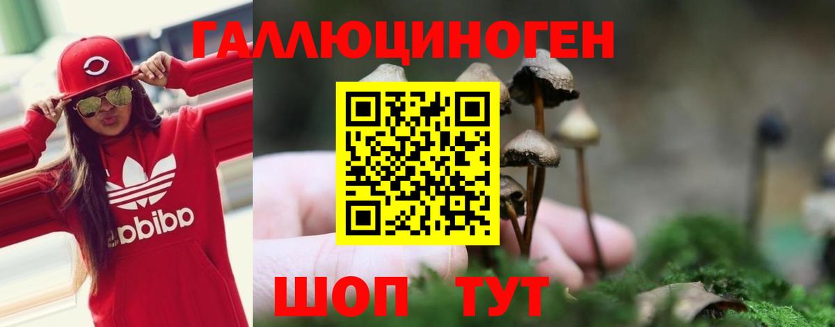 Псилоцибиновые грибы Magic Shrooms  Вход с VPN  Галлюциногенные грибы мухоморы  Бутурлиновка 